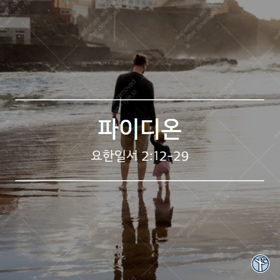  파이디온