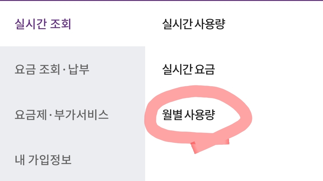알뜰폰 사용량 확인