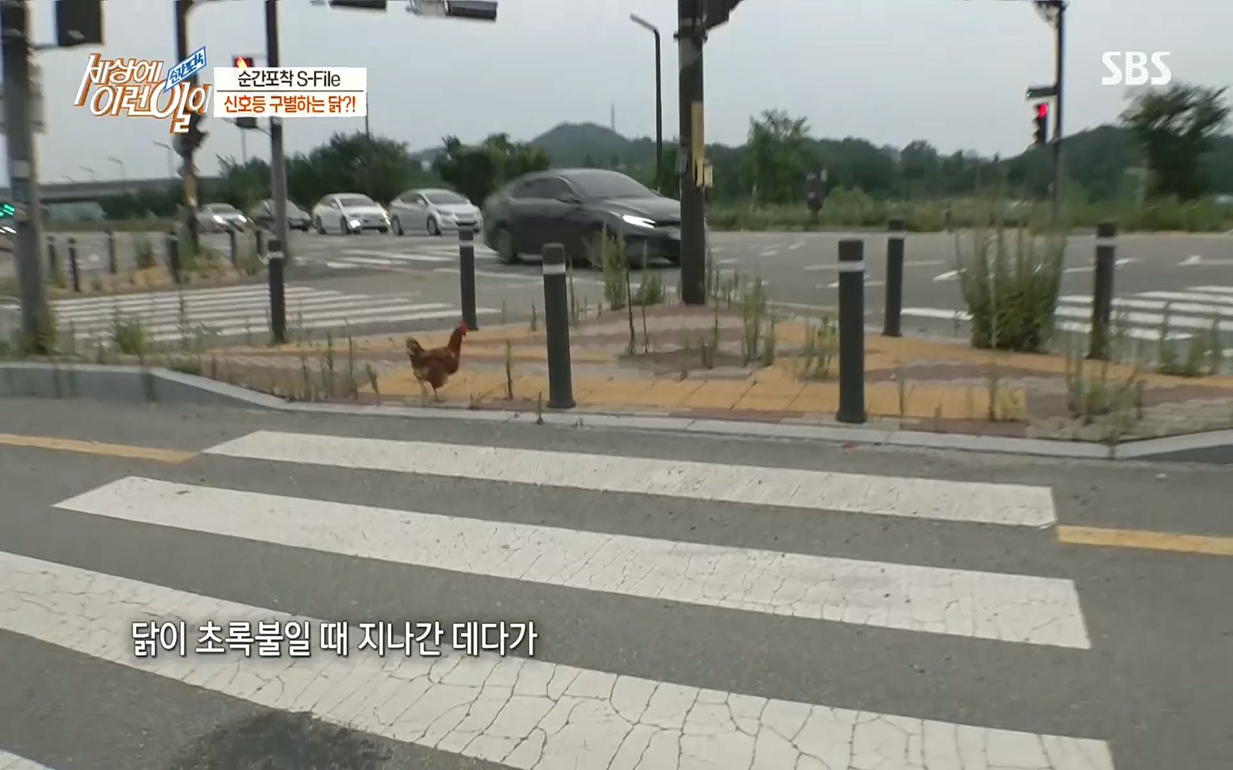 순간포착 세상에 이런일이.E1197p.H264-F1RST.mp4_20220914_202407.922.jpg