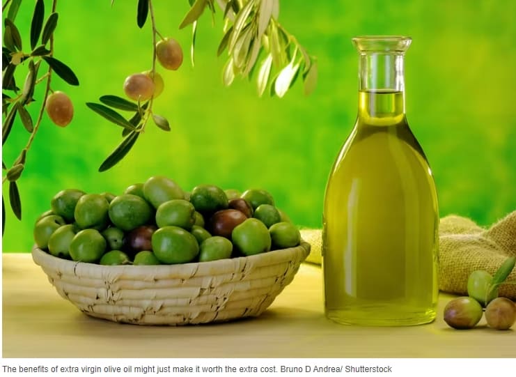  저지방만 찾는다고? Healthy oils at home and when eating out