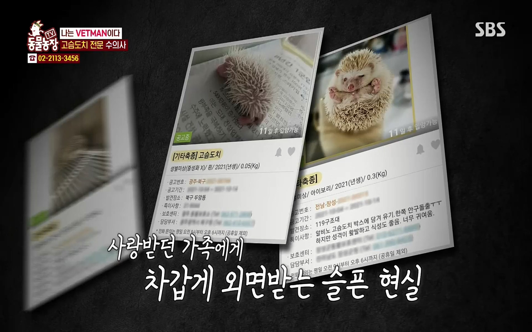 TV 동물농장.E1064.220410p.H264-F1RST.mp4_20220410_184953.321.jpg
