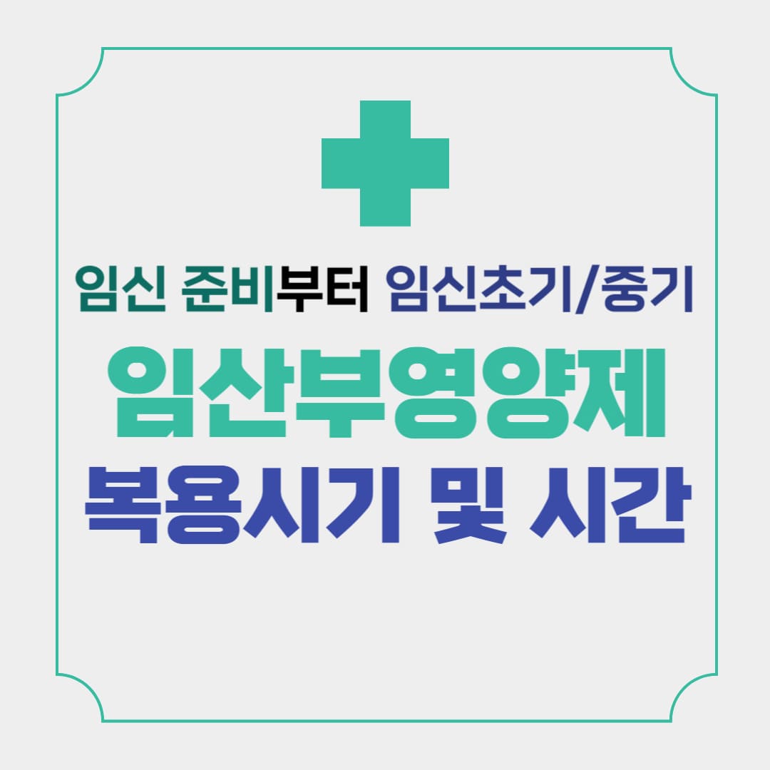  임산부 영양제? 임신 준비부터 임신 초기, 중기 시기별로 복용시간까지 확인!