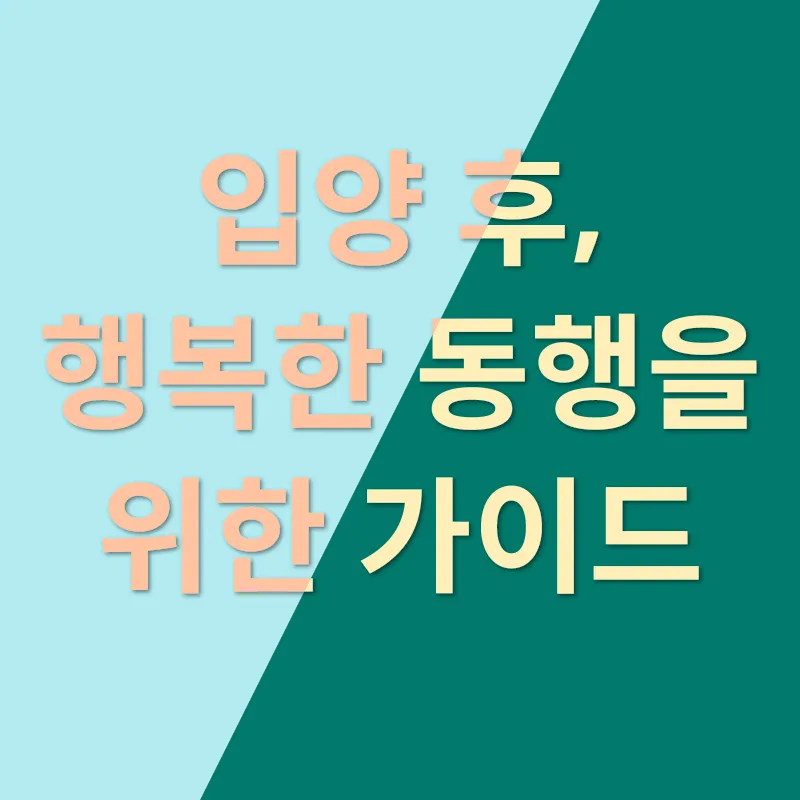 유기견 입양_3