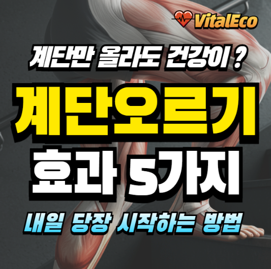 계단오르기 운동 효과
