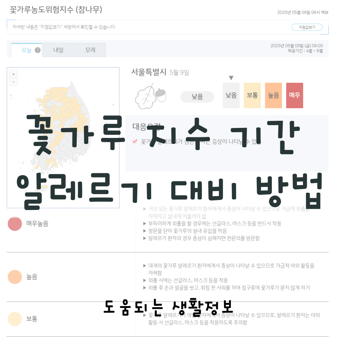 꽃가루 지수 기간 알레르기 대비 방법