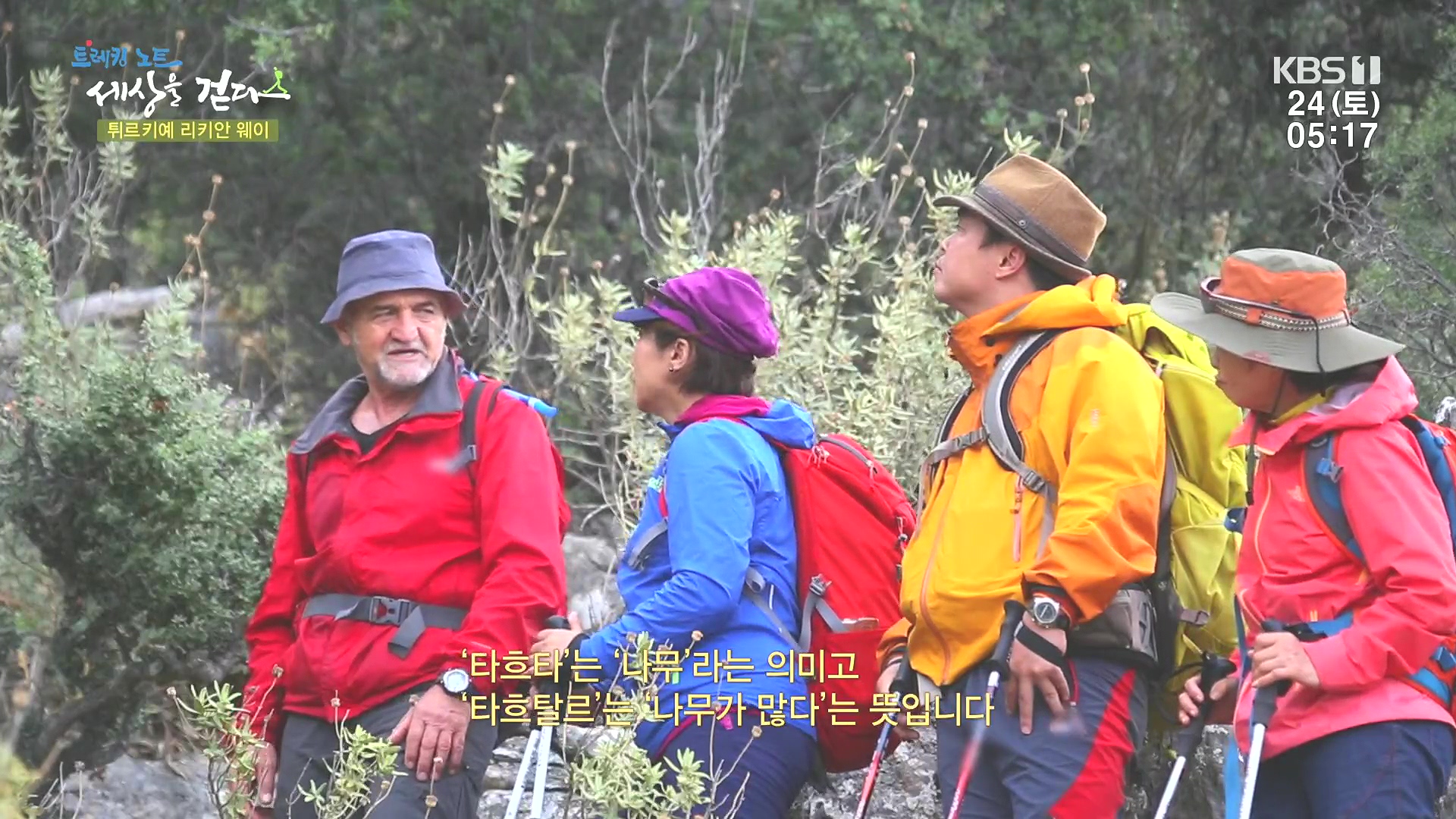 트레킹노트 세상을 걷다.E309.240224p.H264-F1RST.mp4_20240808_195713.293.jpg