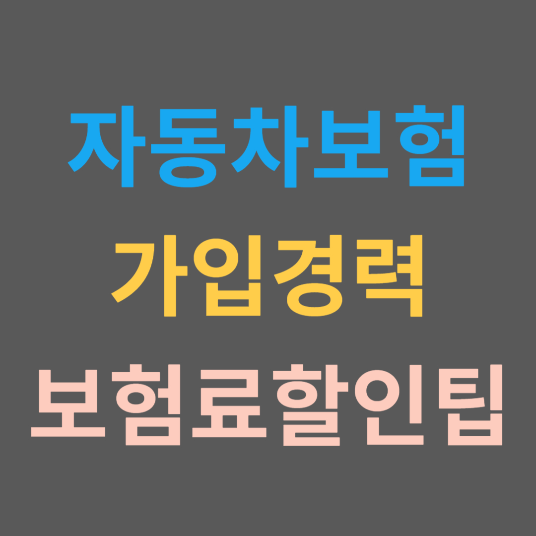 자동차보험 가입 경력인정 팁 확인 조회 등록