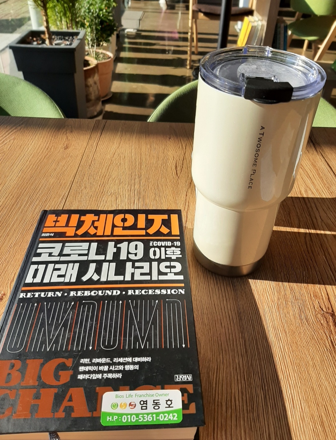  햇빛 사냥