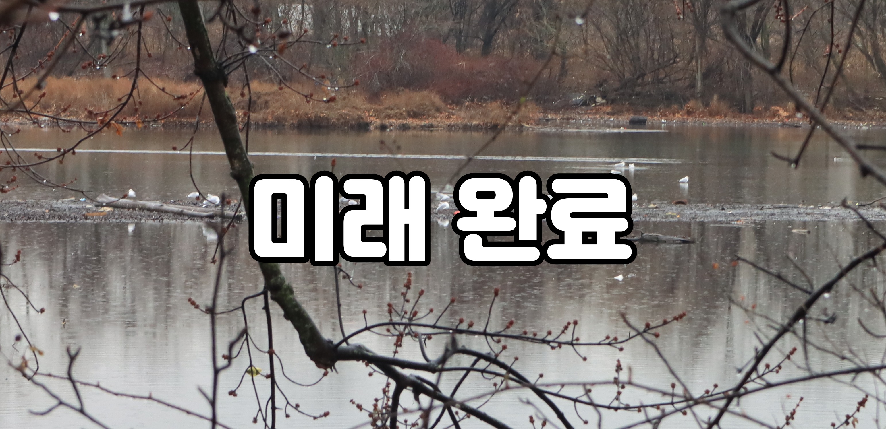  [미래완료] will + have + ~ed로 만드는 미래완료는 하게 돼 있을것이다는 의미
