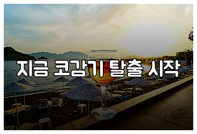 지금 코감기 탈출 시작