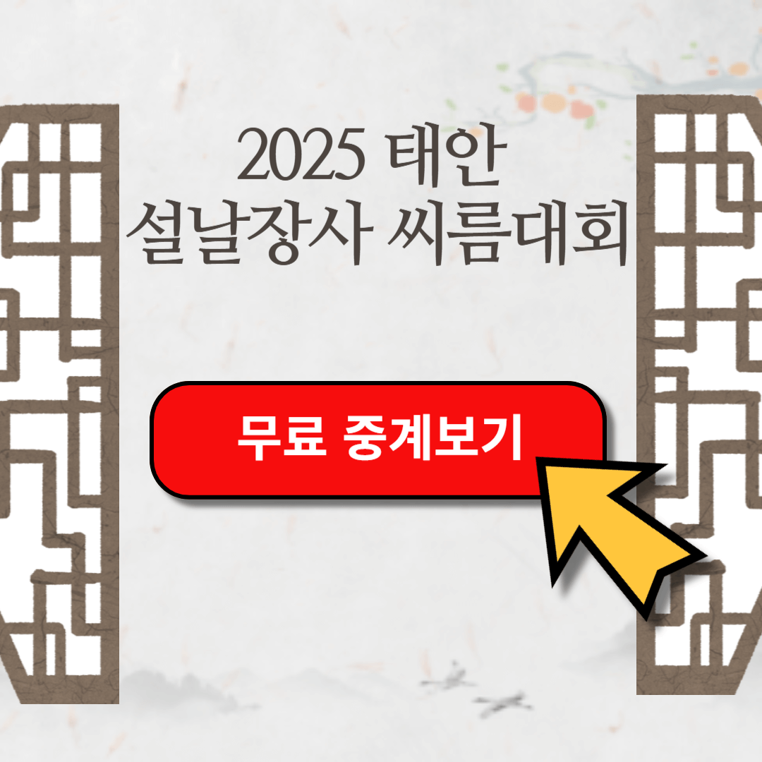 2025 설날 장사 씨름대회 경기 일정 [소백장사, 태백장사, 금강장사, 한라장사, 백두장사]