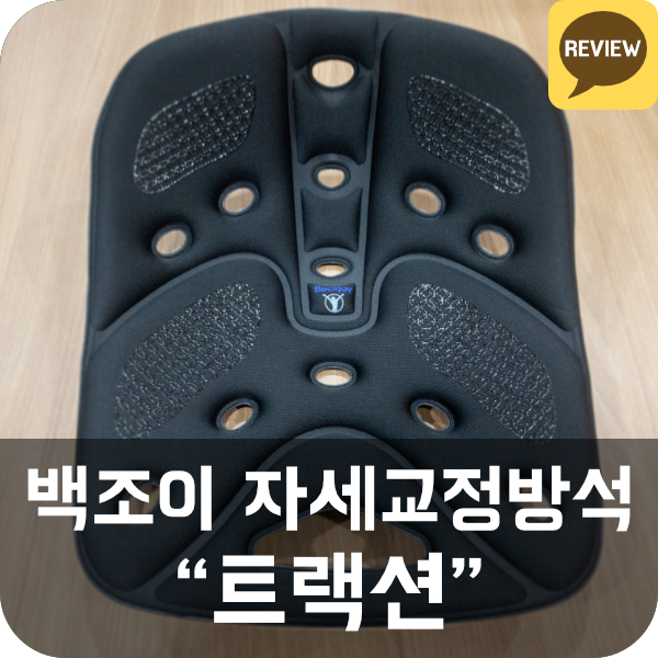  포스쳐360 백조이 자세교정방석 트랙션 리뷰