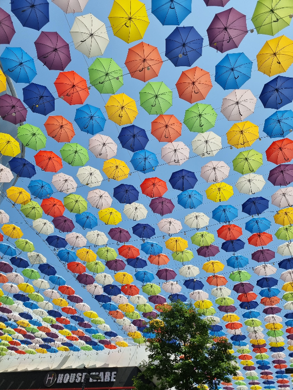 장마철 우산