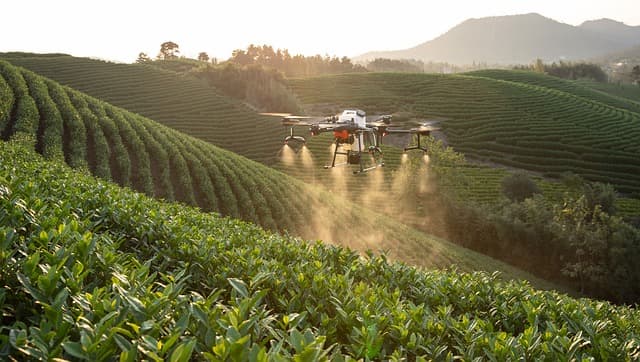 자율 드론과 로봇이 관리하는 미래 도시 농장(Autonomous Drones Urban Farms)
