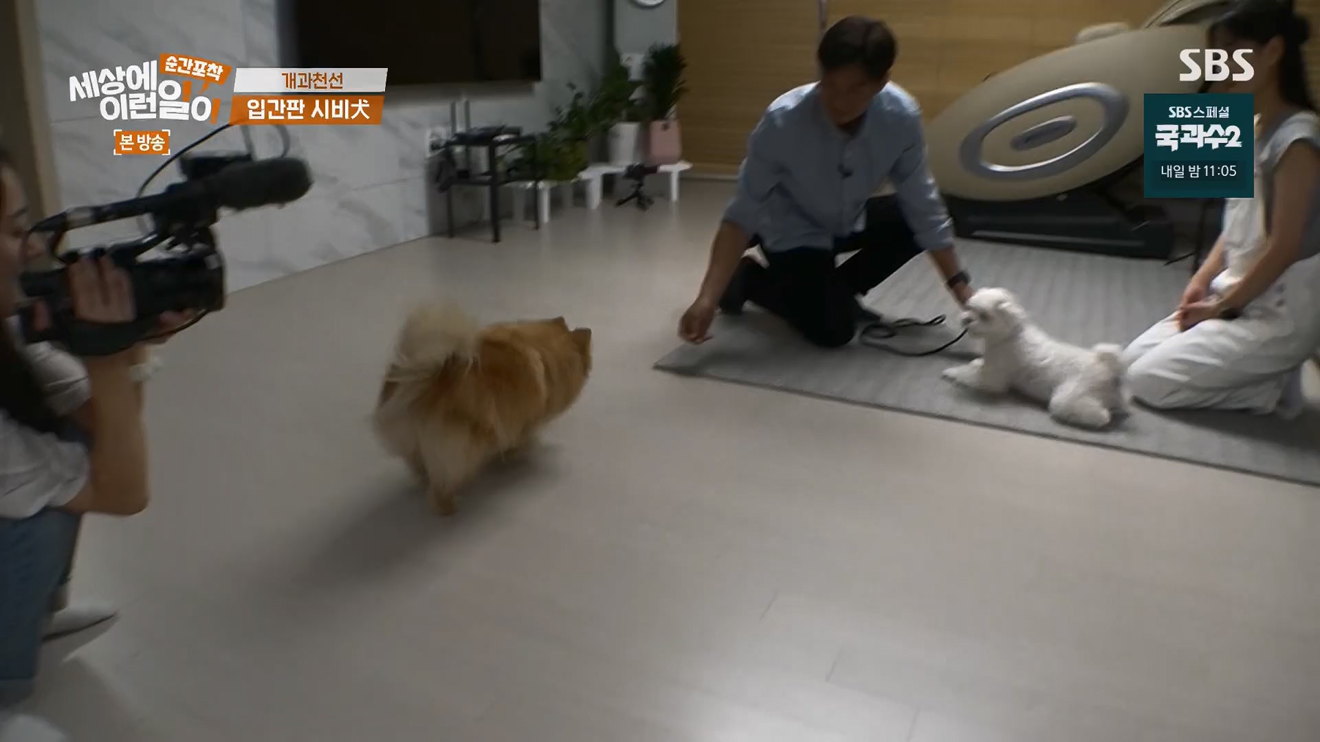 순간포착 세상에 이런일이.E1245.230909p.H264-F1RST.mp4_20230910_171513.617.jpg