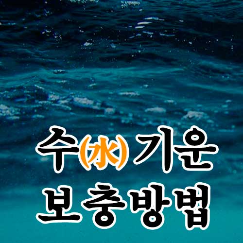 수기운 보충 방법