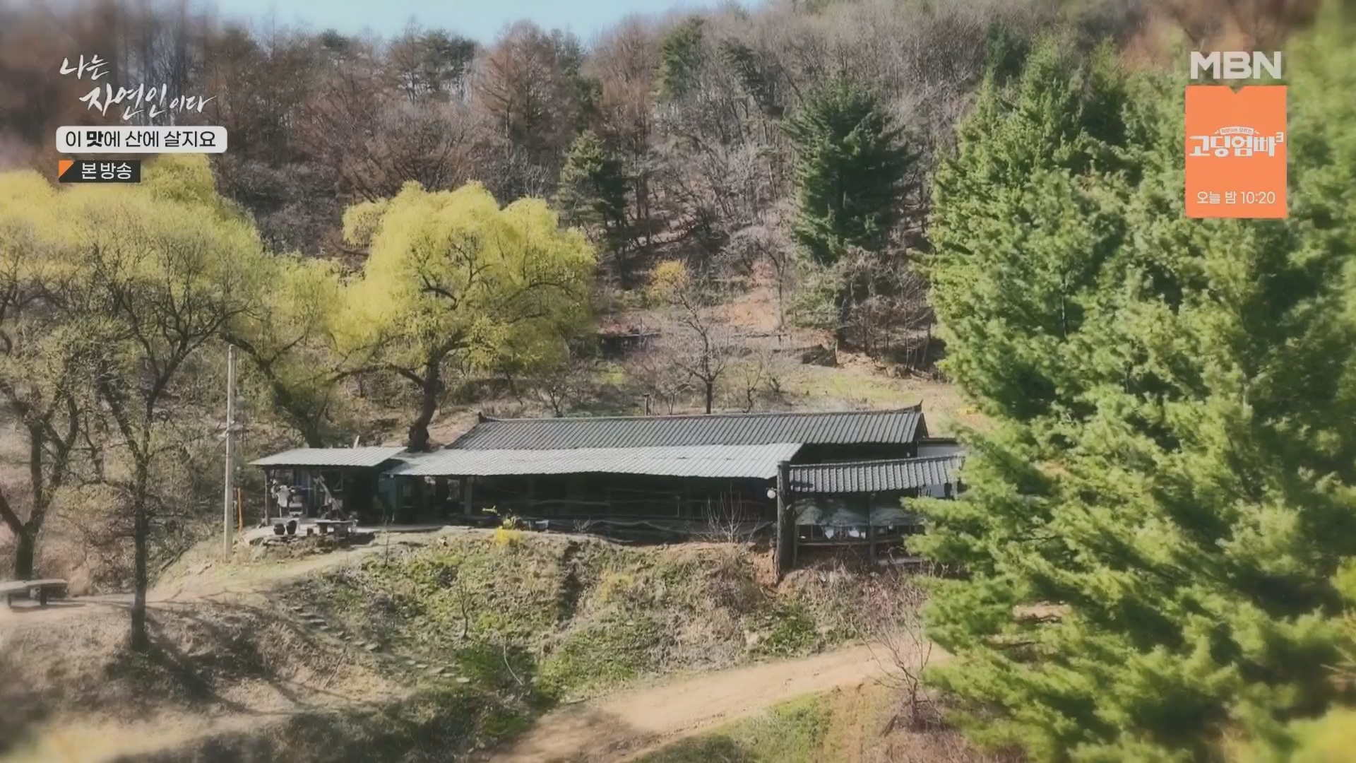 나는 자연인이다.E550.230419p.H264-F1RST.mp4_20230420_195630.146.jpg