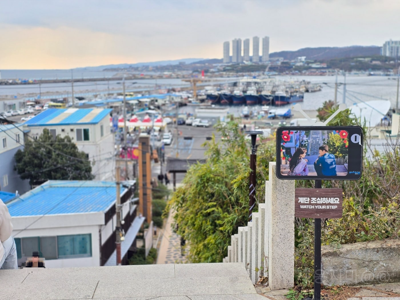 포항-동백-촬영지-계단