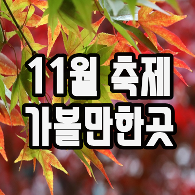  11월축제가볼만한곳