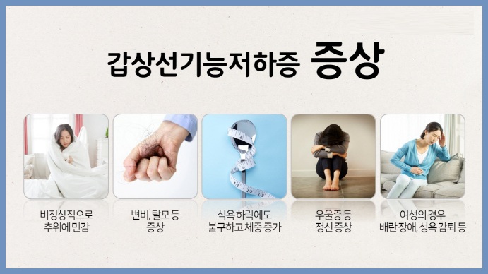 갑상선기능저하증 증상