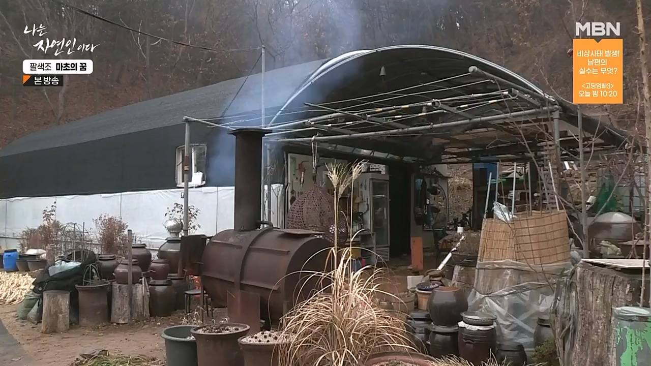 나는 자연인이다.E544.230309p-NEXT.mp4_20230309_191746.011.jpg