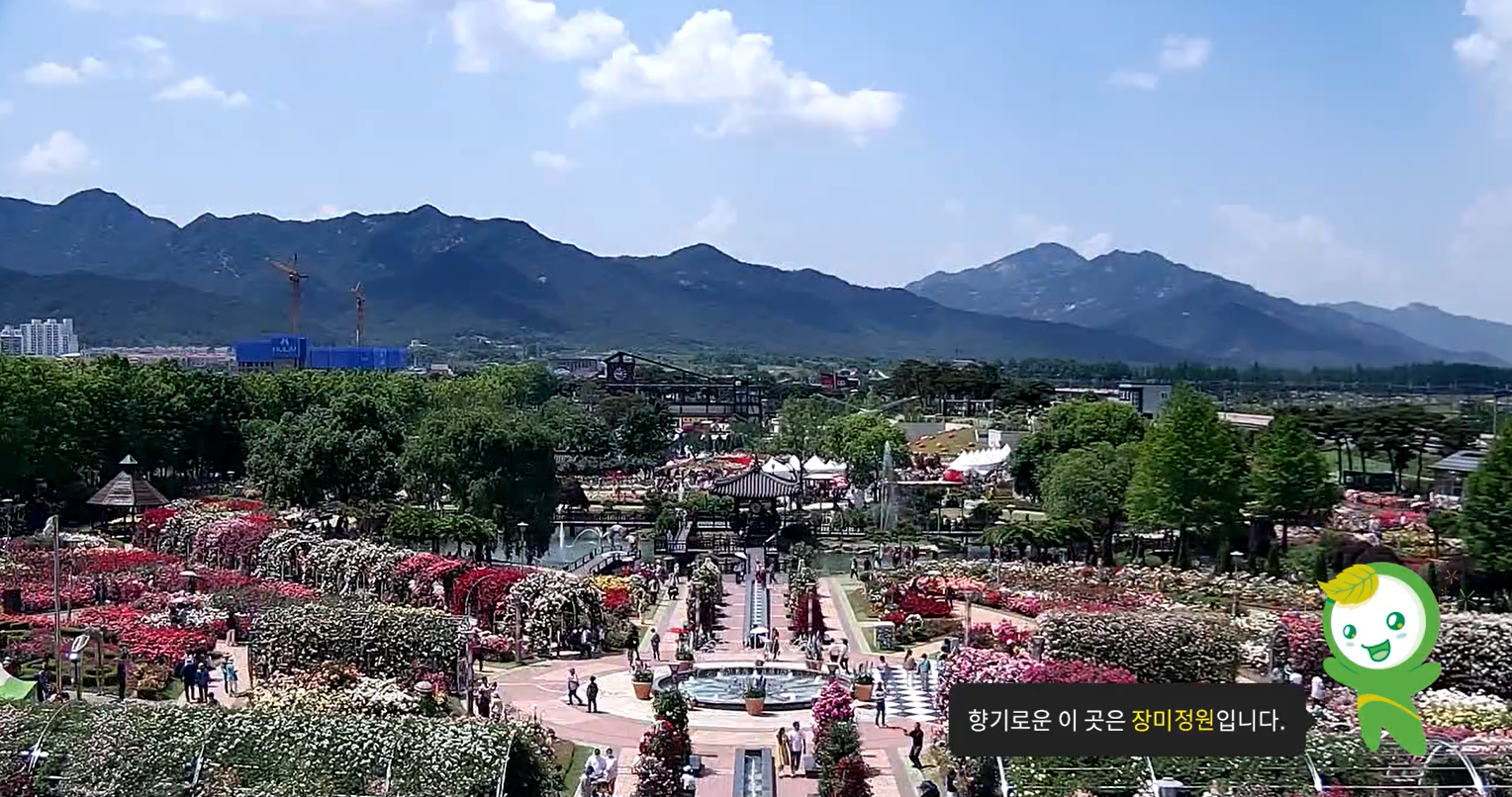 곡성 세계 장미축제 The Red 장미공원 개화현황 장미트롯 레전드쇼 황금장미 이찬원 백지영 김경호