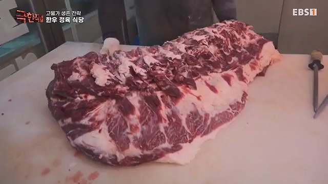극한직업 822회 2024-09-28.mp4_20241012_172929.123.jpg