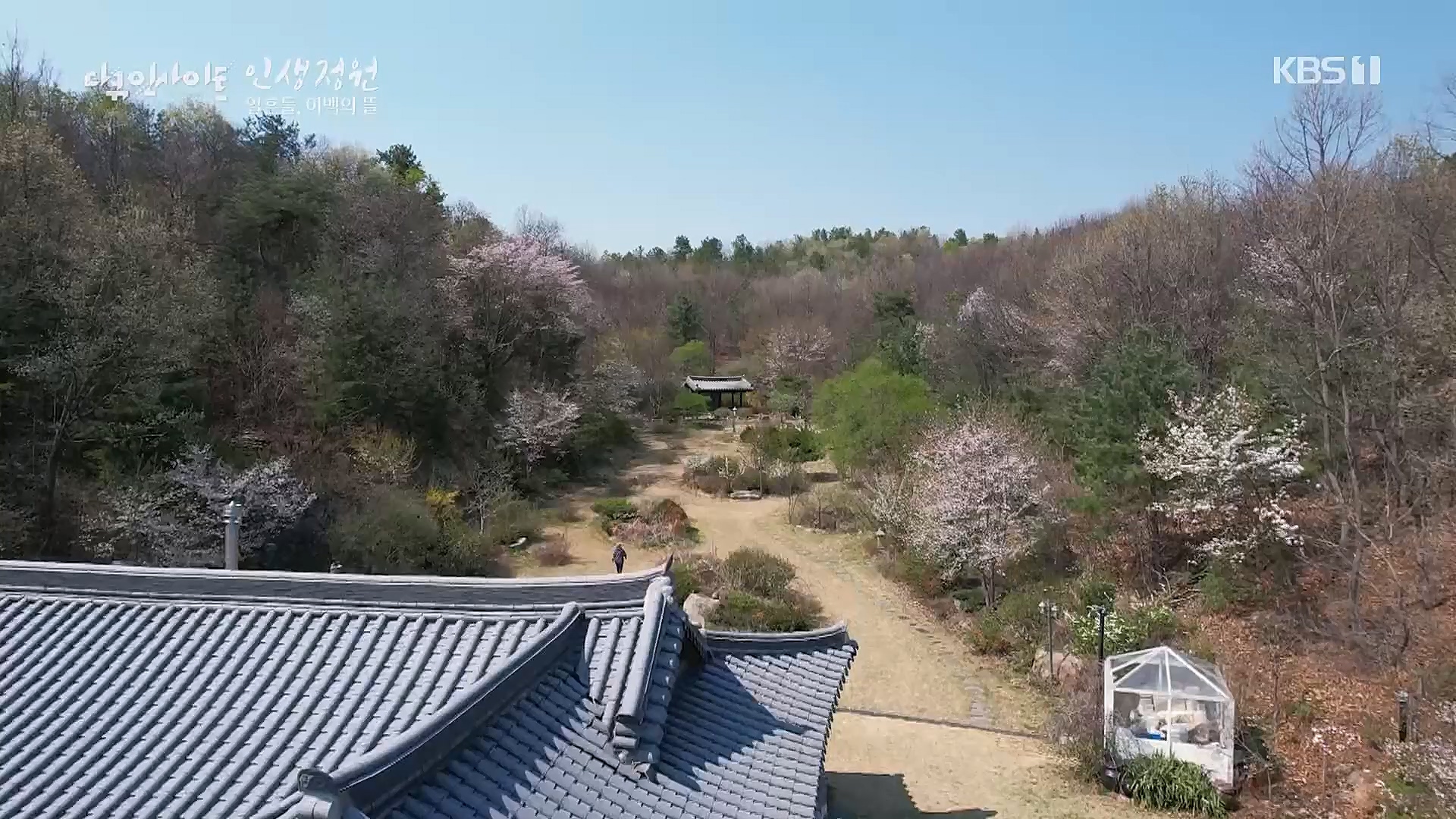 다큐 인사이트.E135.221229p.H264-F1RST.mp4_20230109_204208.976.jpg