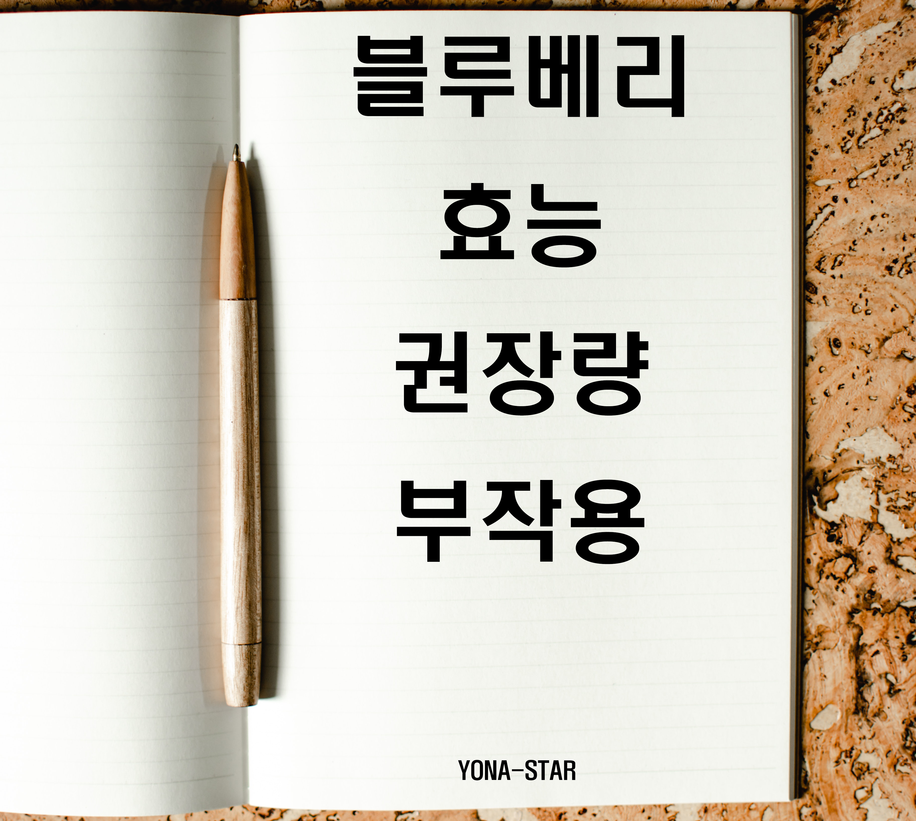  블루베리 효능 / 권장량 / 부작용