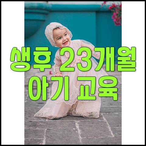  생후 23개월 아기 발달 및 육아 교육(아기운동, 장난감, 새로운환경, 사교성)