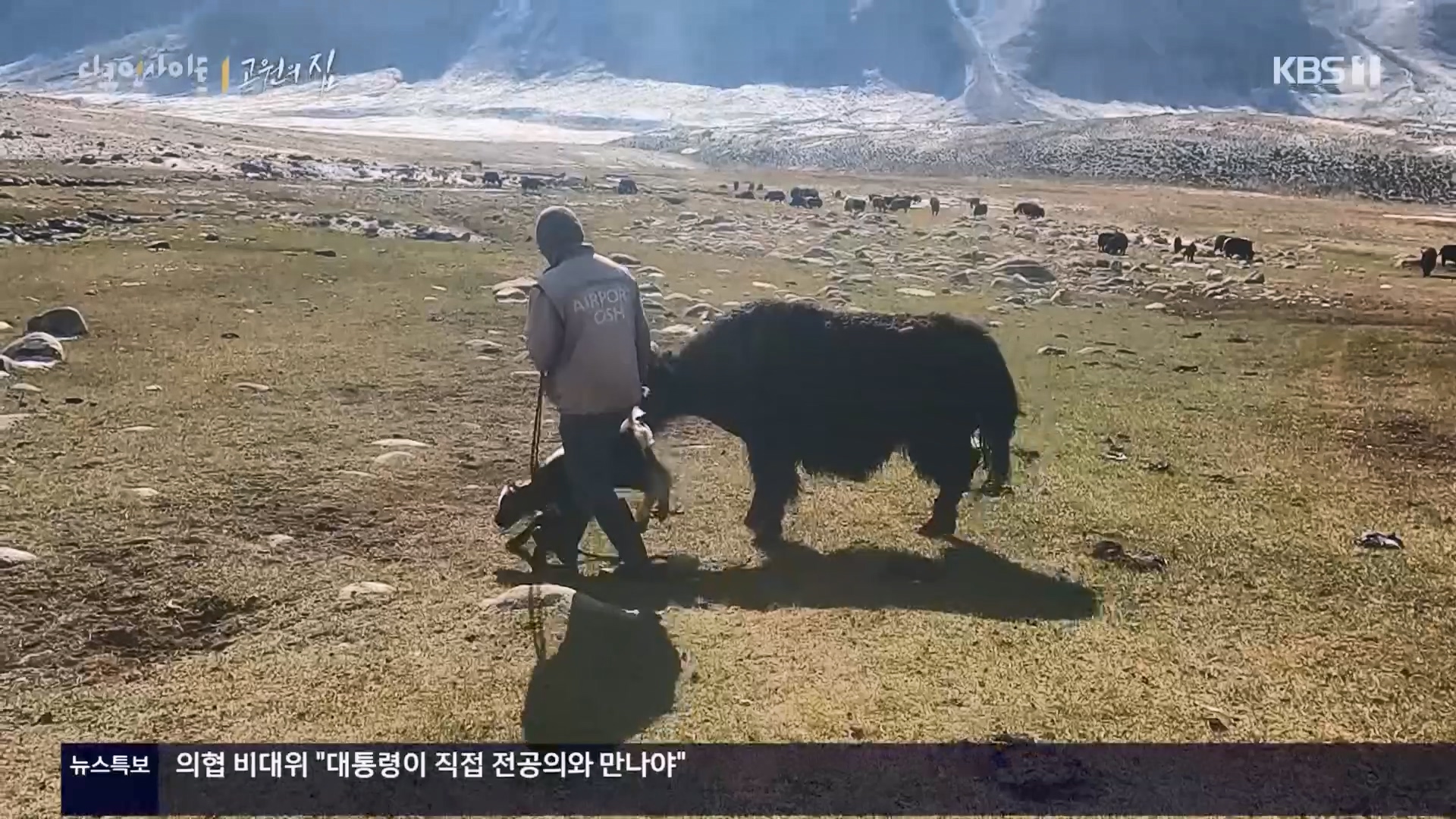 다큐 인사이트.E176.240328p.H264-F1RST.mp4_20240330_162537.078.jpg