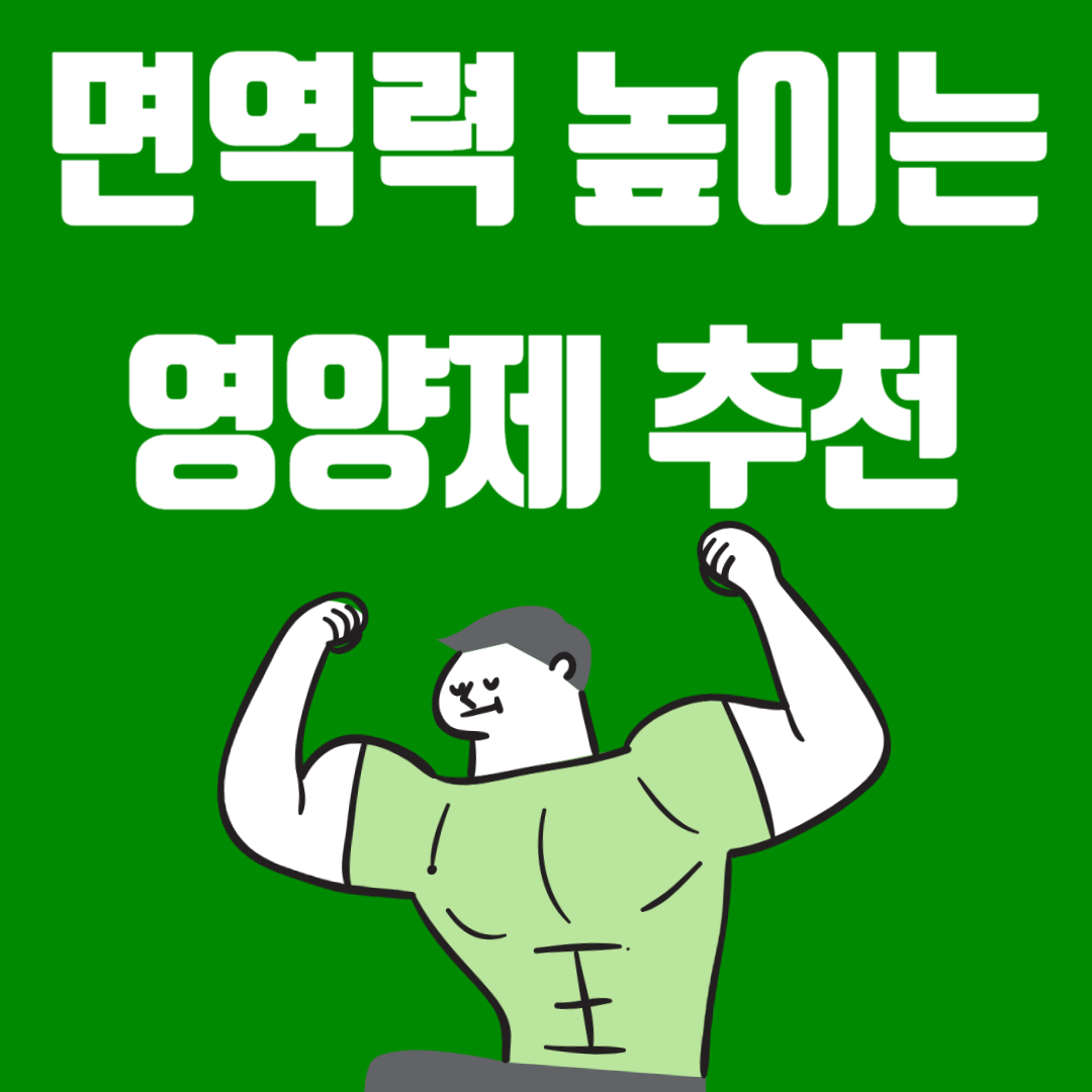 면역력 높이는 영양제 추천