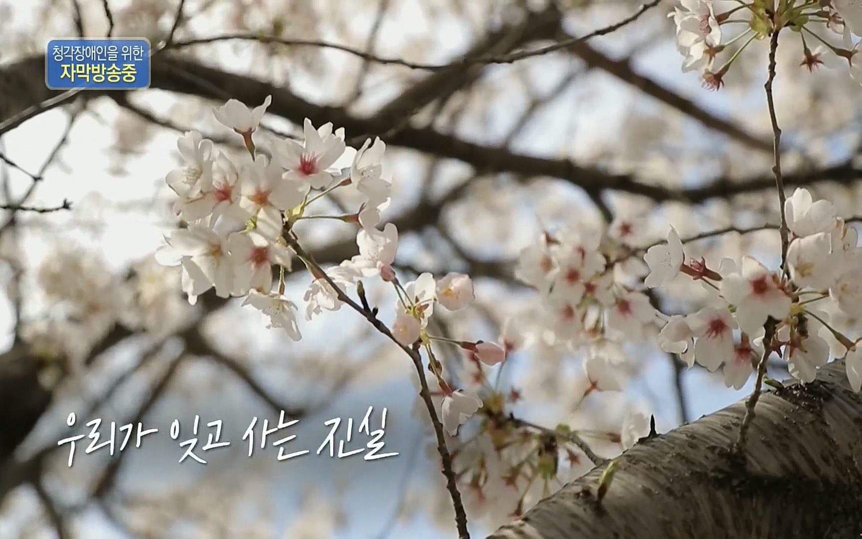 생로병사의 비밀.E820.220511p.H264-F1RST.mp4_20220512_192535.585.jpg