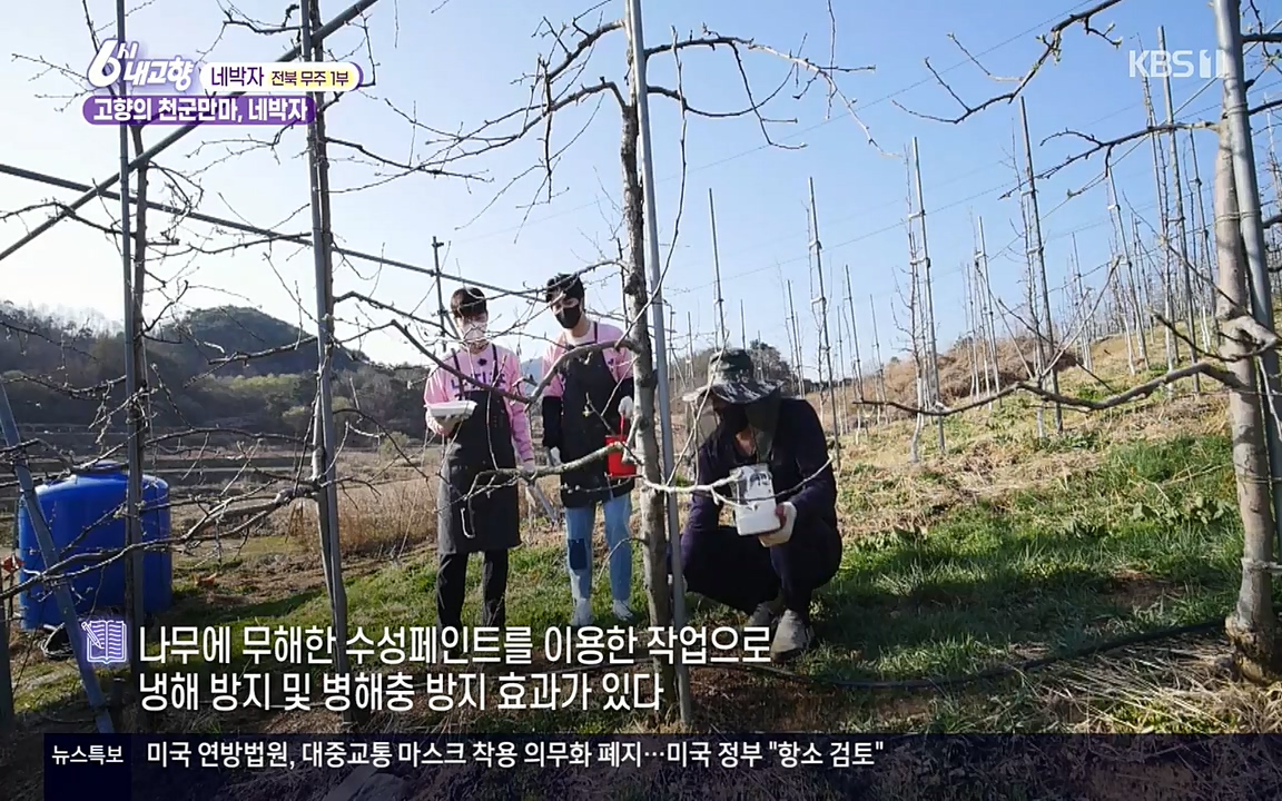 6시 내고향.E7523.220421p-NEXT.mp4_20220507_181122.938.jpg