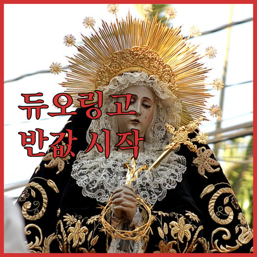 듀오링고, 겜스고로 반값에 시작?! 