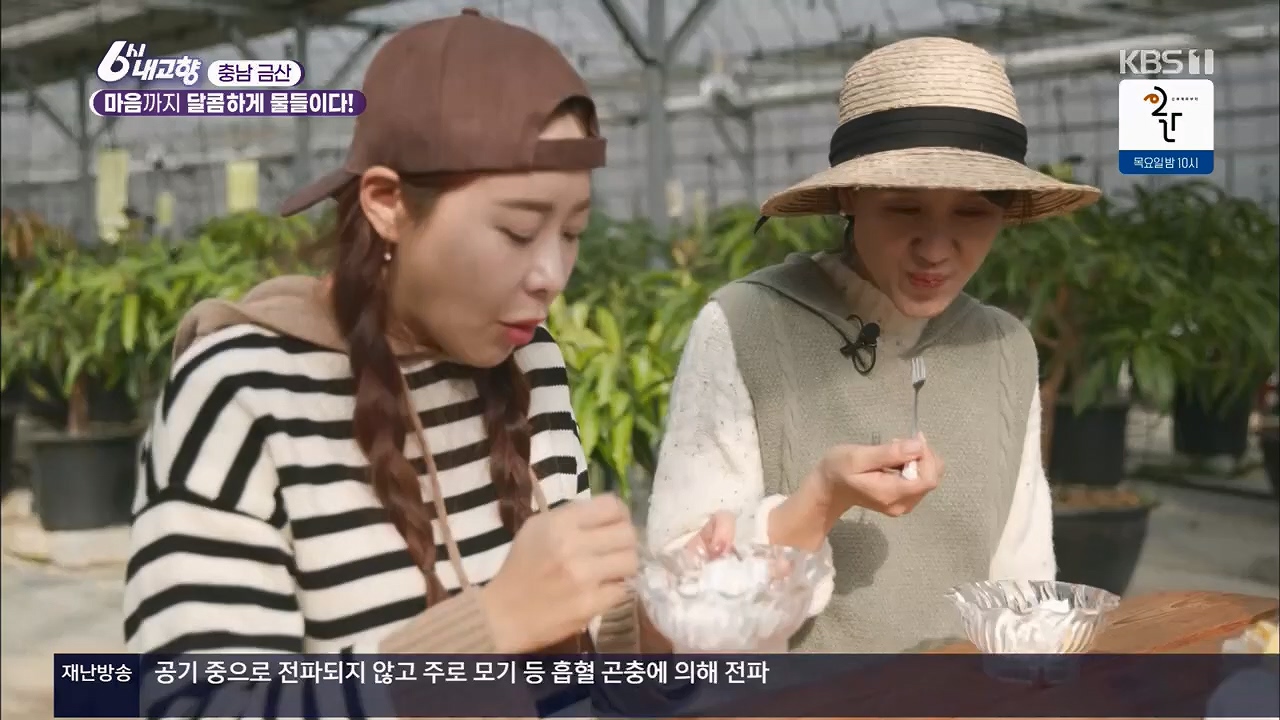 6시 내고향.E7922.231129p.H264-F1RST.mp4_20231129_203824.482.jpg