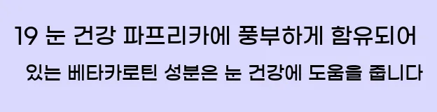  19 눈 건강 파프리카에 풍부하게 함유되어 있는 베타카로틴 성분은 눈 건강에 도움을 줍니다