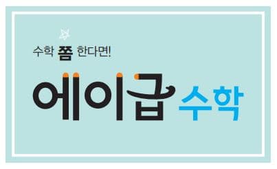  수학 문제집 추천 및 분석 : 에이급 수학