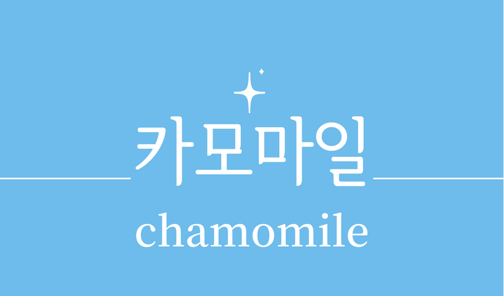 &#39;카모마일(chamomile)&#39;