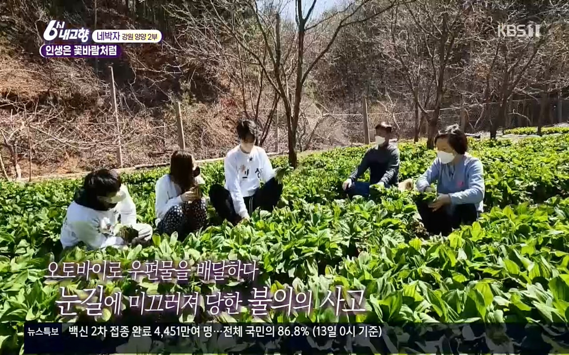 6시 내고향.E7510.220414p.H264-F1RST.mp4_20220419_184420.531.jpg