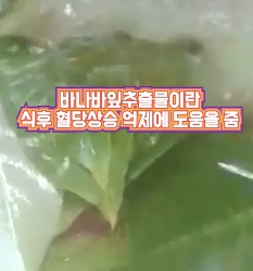 선택하라-당풀이케어-내돈내산-후기
