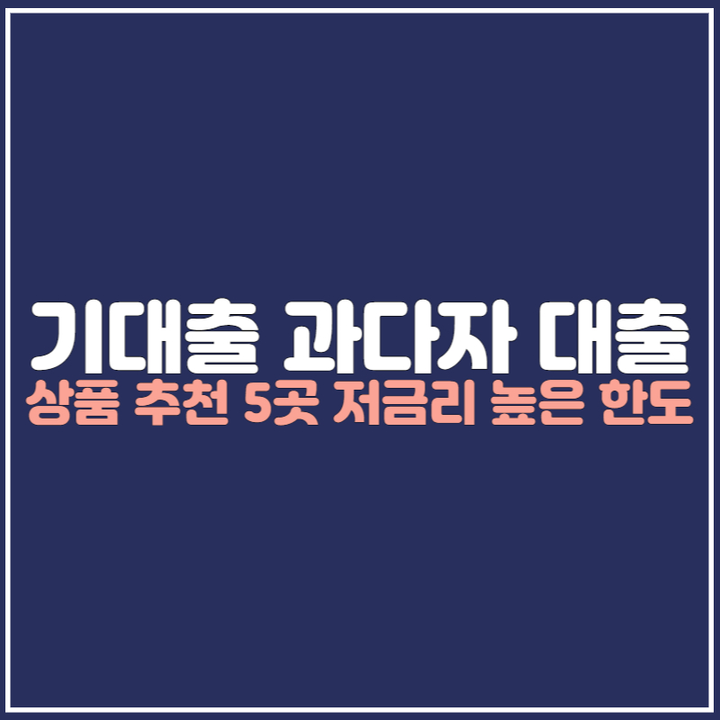 기대출 과다자 대출