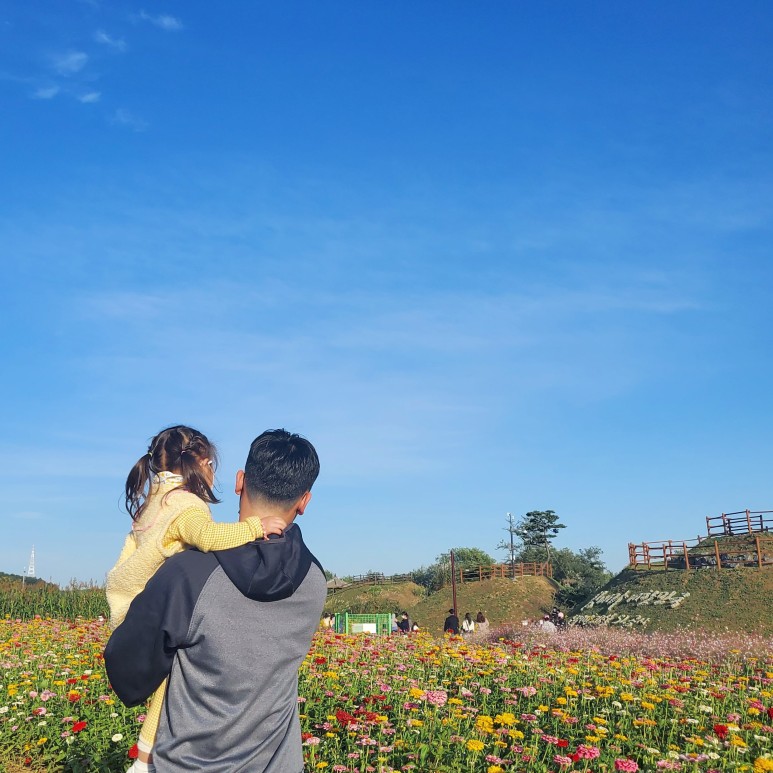 야생꽃한 가득 가을 향기 4