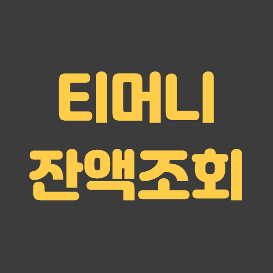  티머니 잔액조회 쉬운 방법