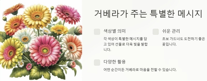 거베라가 주는 특별한 메시지 ppt이미지