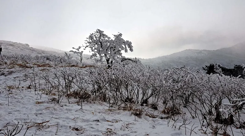 소백산 설경