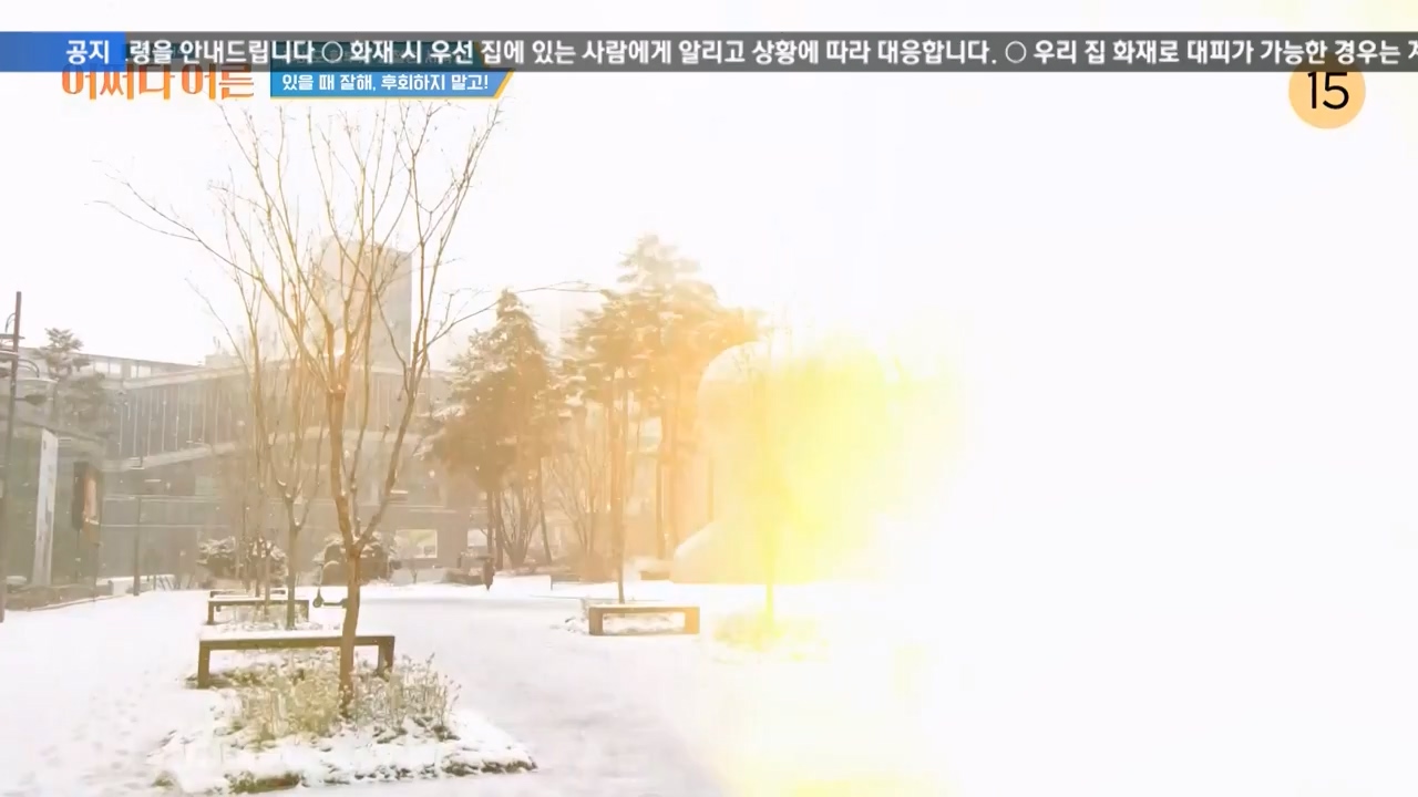 어쩌다 어른.E41.240131p-NEXT.mp4_20240201_203130.813.jpg