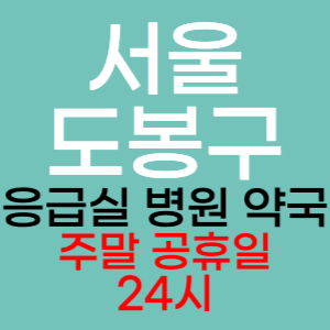 서울 도봉구 주말 공휴일 약국 병원 응급실 찾기 토요일 일요일 야간진료 24시 영업시간