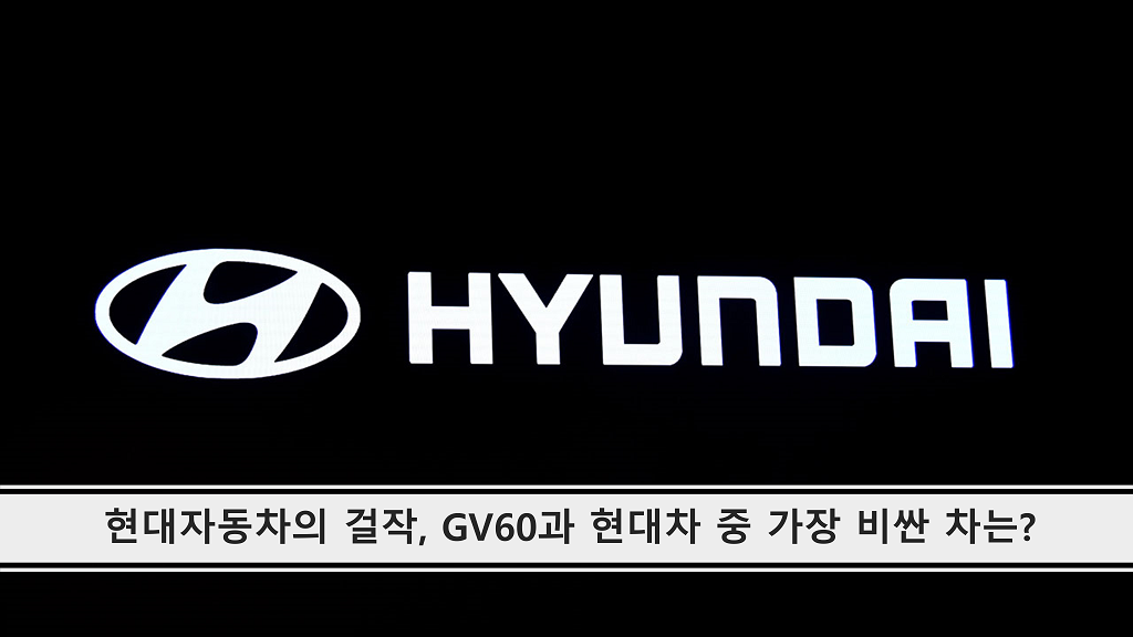 <대표 사진>