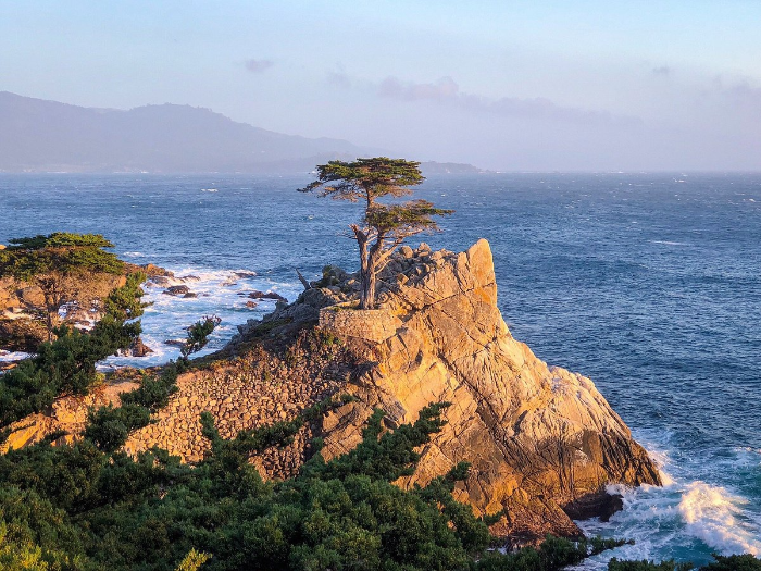 코스 5: 로운 사이프레스 Lone Cypress